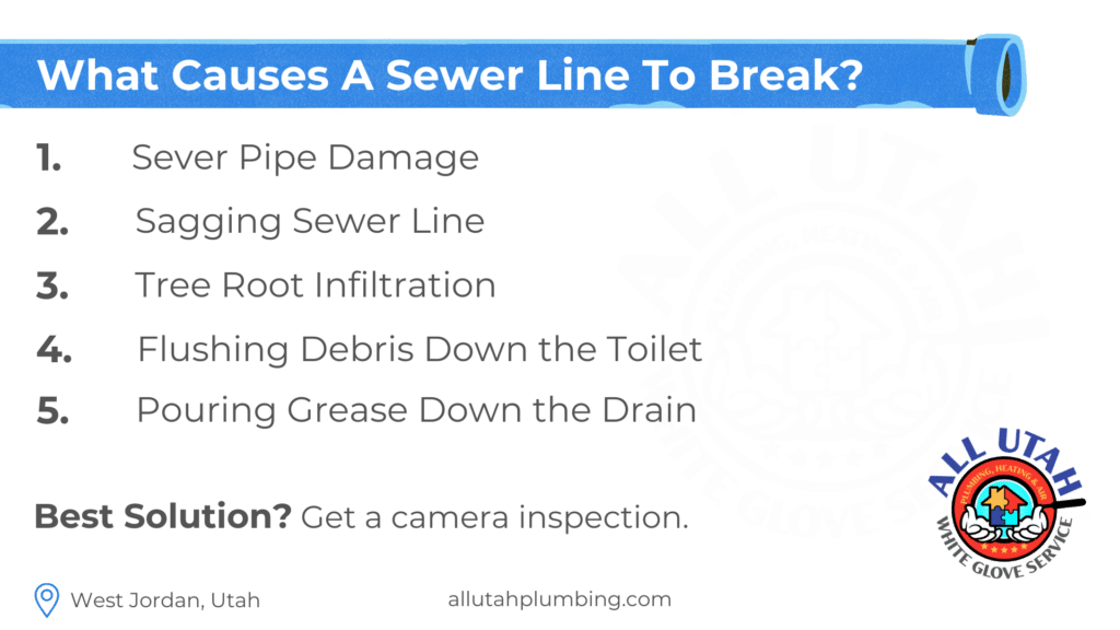 What causes a sewer line to break infographic