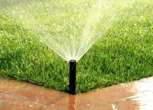 A professionally installed lawn sprinkler watering green grass.