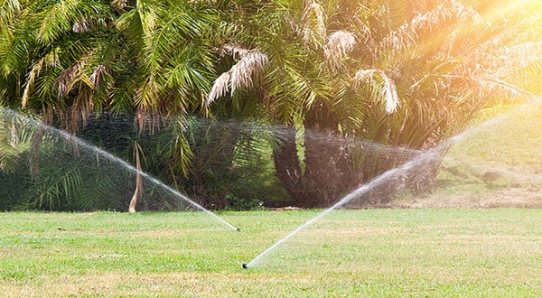 Three sprinklers watering a green lawn with large leafy trees in the background.